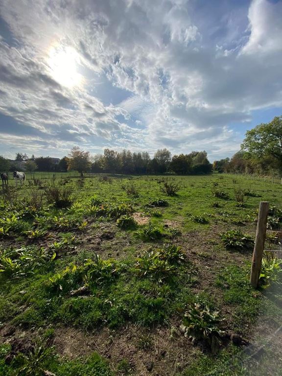 Corps de ferme BERGUES SUR SAMBRE (02450) YOANN HERLEM IMMOBILIER